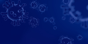 Covid19 Web