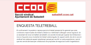 Enquesta300