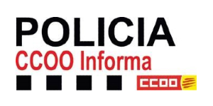 Pminforma 300