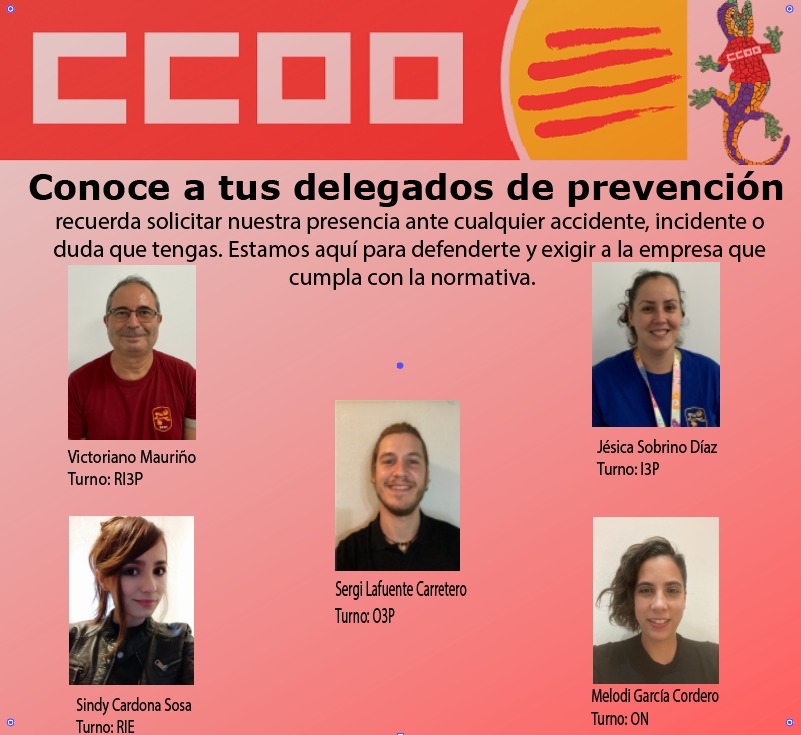 Delegads De Prevencion