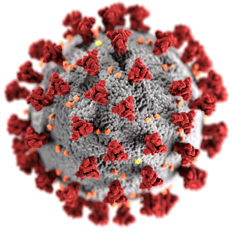 Coronavirus Rojo 410fd3c7 800x800