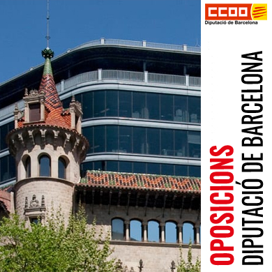 Preparació Oposicions a la Diputació de Barcelona – Pla d’Actuació Matèria Ocupació (PAMO)