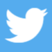 Icon Twitter